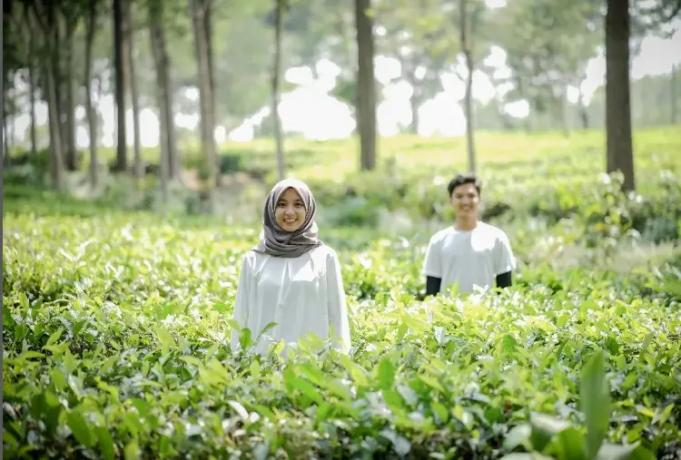 Acara Lamaran